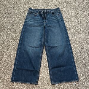 American Eagle Outfitters Low-Rise Baggy Wide Leg Jeans